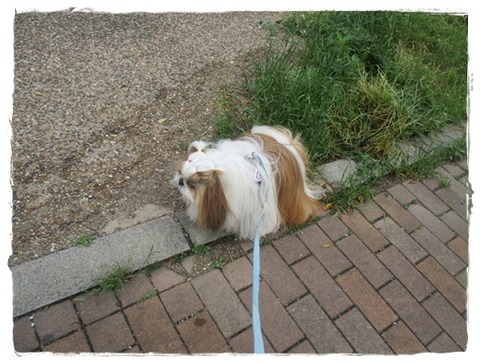 久しぶりにお友達に会えたのに…