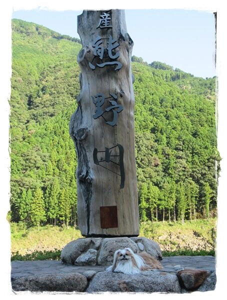 １０月１３日和歌山その５