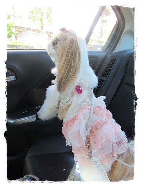 和歌山プチ旅行①