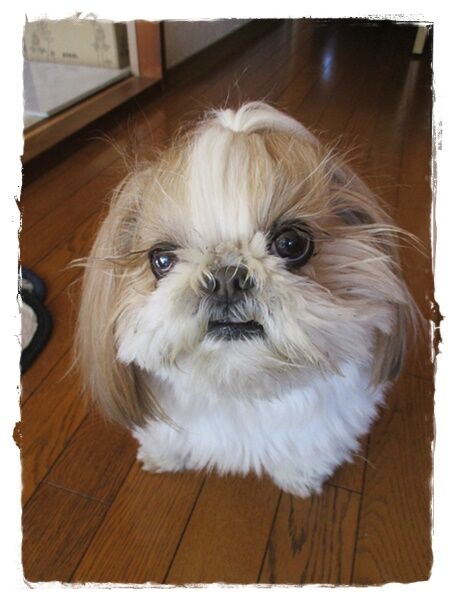 ビフォーアフター