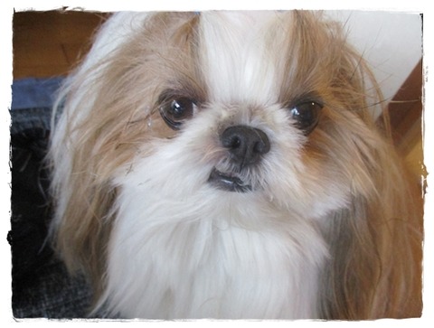 忘れられてた誕生日。