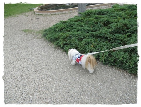 淡路式プチ旅行⑶