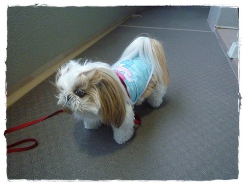 スッキリした～(^^♪