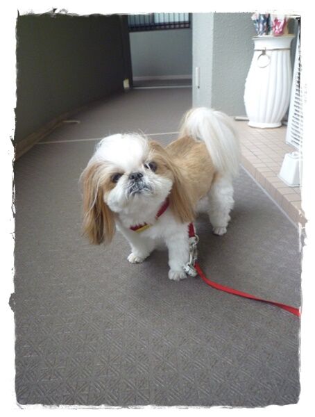 汚れを覚悟して。