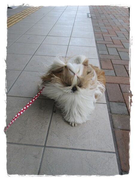 雨が降る前に。