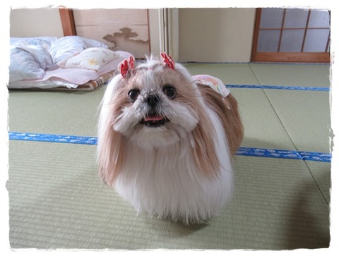 淡路島「七福神」巡り⑺