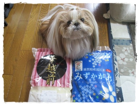 散歩から帰って来たら～