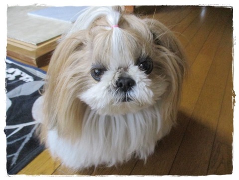 久しぶりの雨ー!