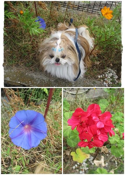 catsユニ１０／１４パート２