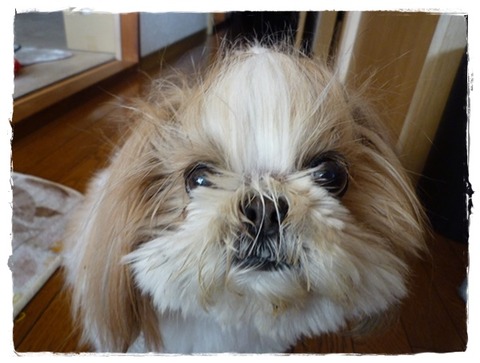 ビフォーアフター