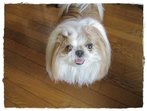 お疲れさまでちた(*^^*)