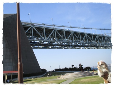 お出かけ(道の駅)