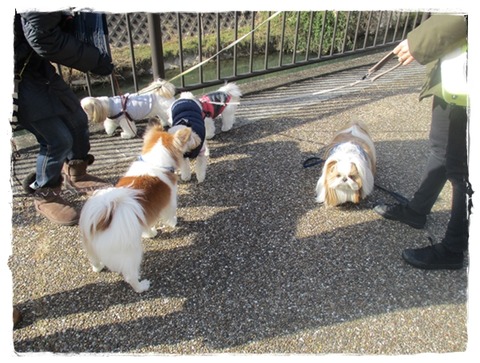 ワッサワッサと。