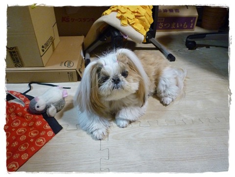 ロン毛の頃なら…