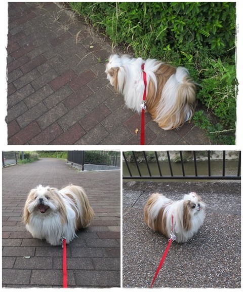 catsユニ６／２６