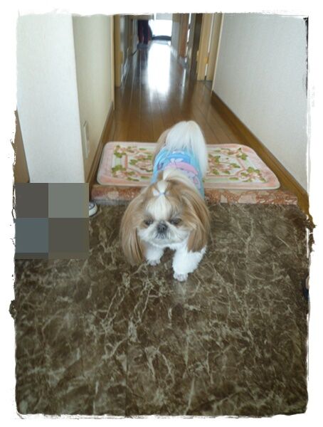 昨日も今日も♪