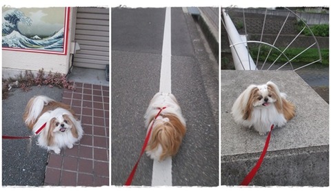 catsユニ８／２５