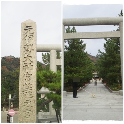 cats神社