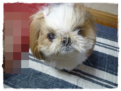 とうたんはバナナ。アタチは…♪