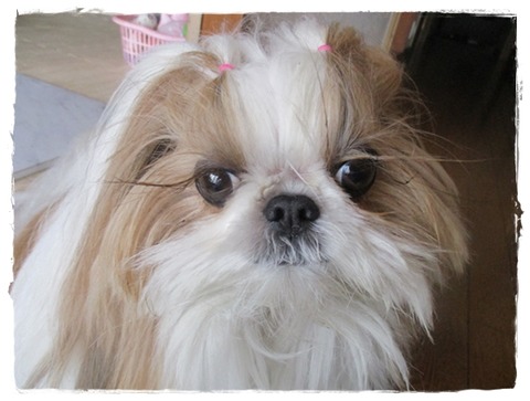 ただいま～(^O^)