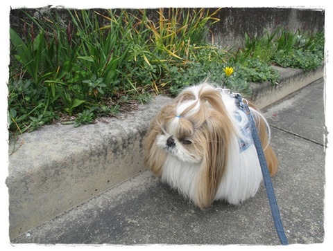 予報がハズレて…