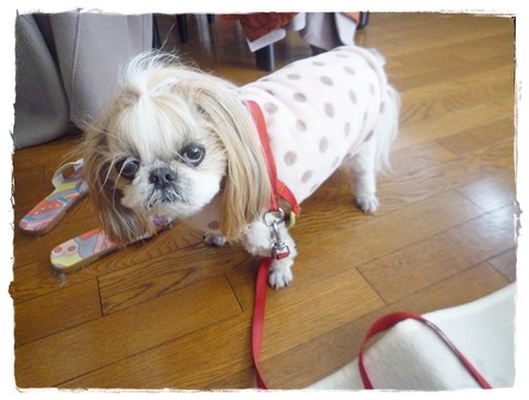 穏やかな～(*ﾟ▽ﾟ*)