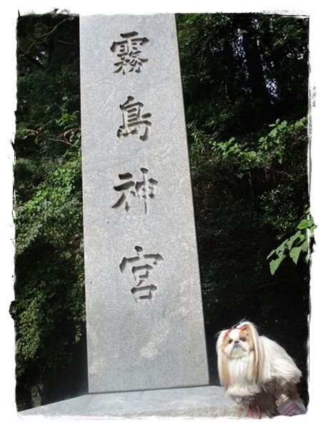 えびの高原の次は～