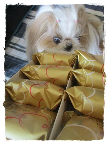 ラジオ体操と便乗。