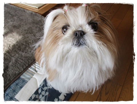 今年の節分は…