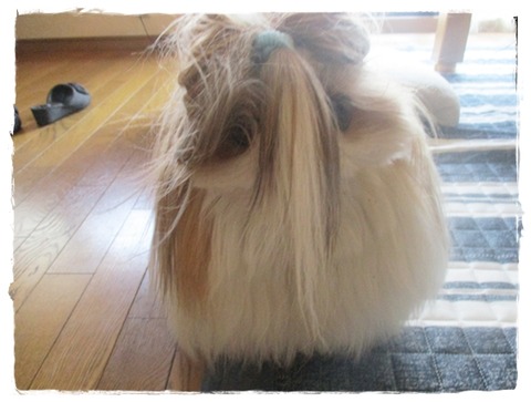 玩具遊びしてたら～