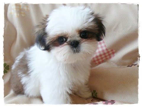 1202ユニちゃん。