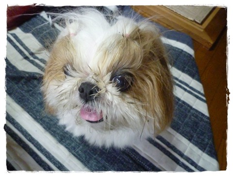 ビフォーアフター