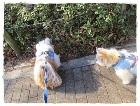 お腹ペコペコで待ってたのに😢