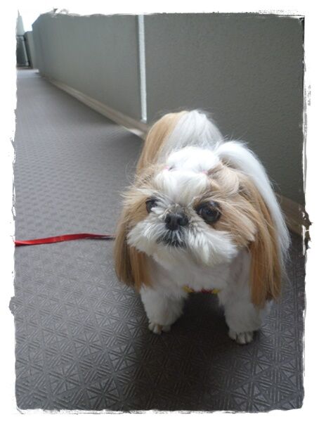 加減てのを知らないのか!