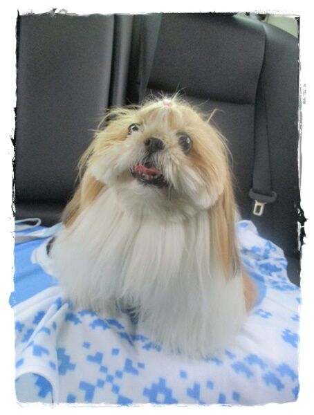 初乗りは…ばぁちゃんチ(*^^*)