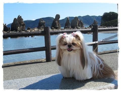 １０月１３日和歌山その３