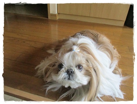 ２日続けて…朝😢