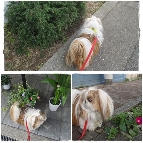 始めましたの～看板を見て。