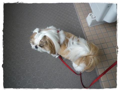 恥ずかしかった(;^ω^)