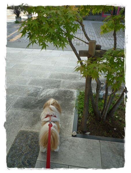 今日も変わりなく(^^)