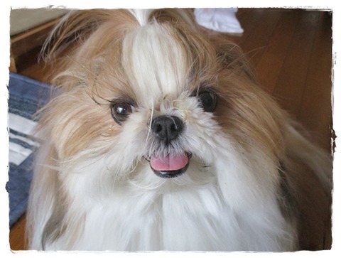 夕方4時まで監禁。