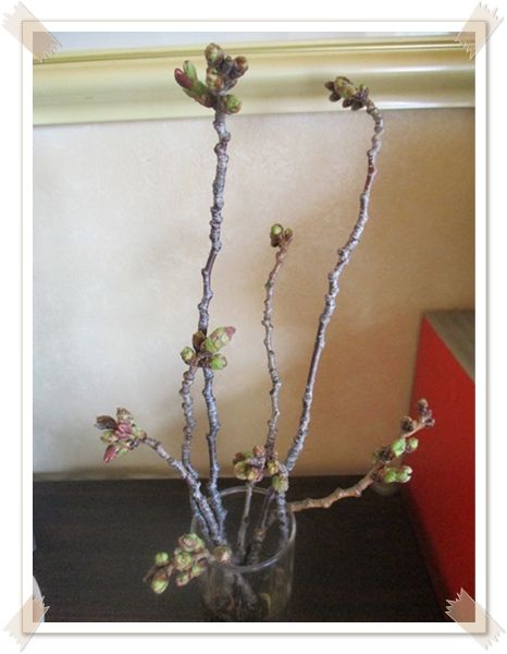 横取りしてやった(笑)