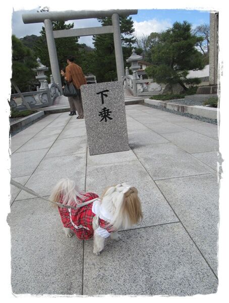 プチ春旅行(３)