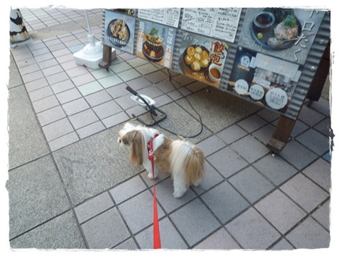 P1050058ユニ