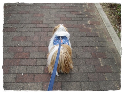 抜けた毛は持ち帰れ!