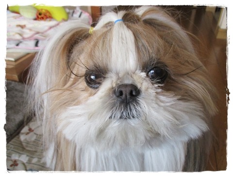 自分のクシャミでビビった!