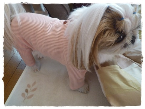 何してくれんねん(# ﾟДﾟ)