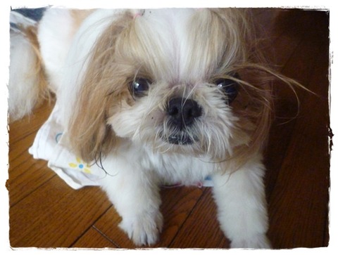 万が一に備えて。