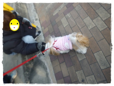 一年振りかなっ?