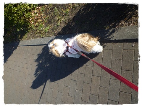 ガラガラでゲット♪